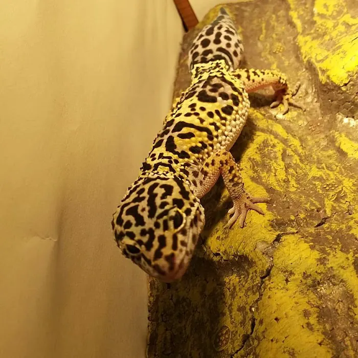 Petco Picture 7