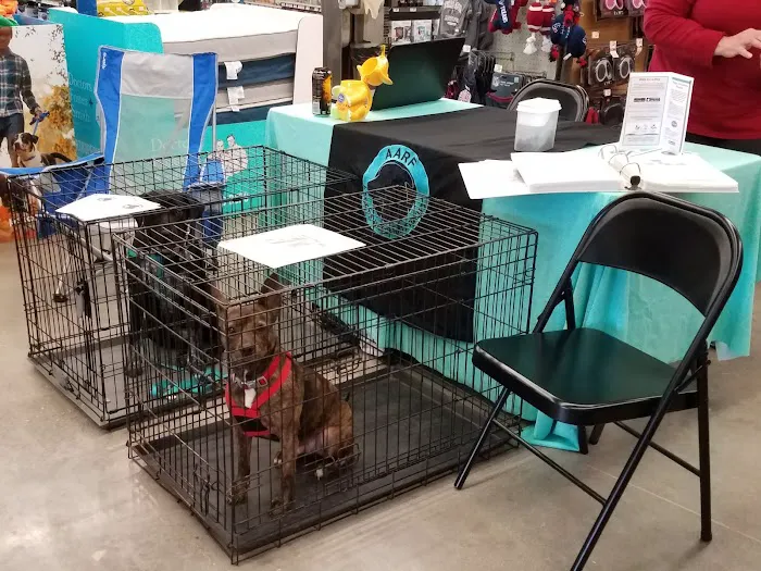 Petco Picture 3