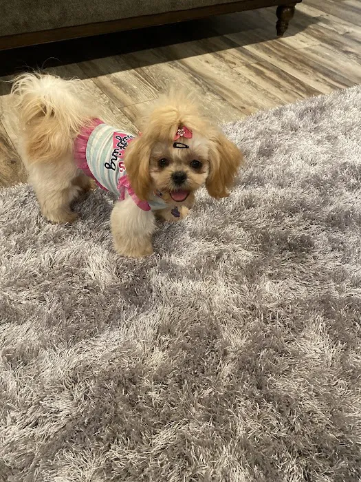 Petco Picture 1