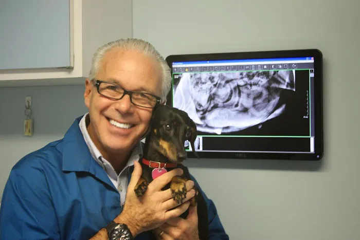 Park Hills Animal Hospital Picture 3