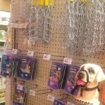 Pet Ranch