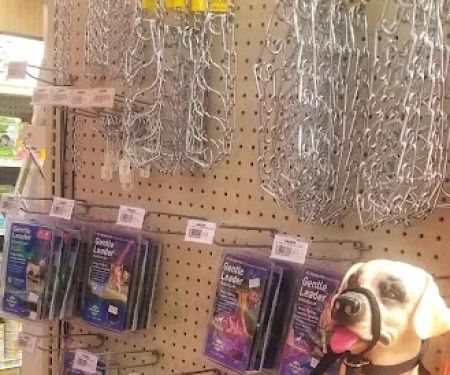 Pet Ranch