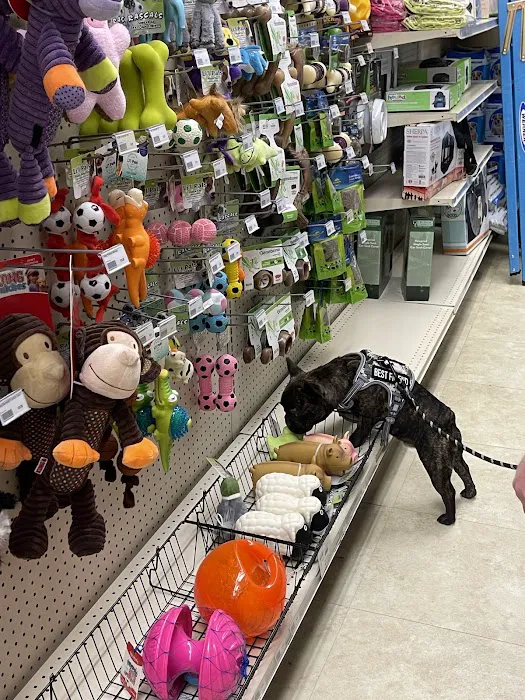 Pet Ranch Picture 4