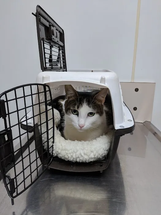 Northern Tier Veterinary Clinic Picture 4