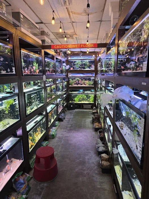 360 Aquatic Picture 4