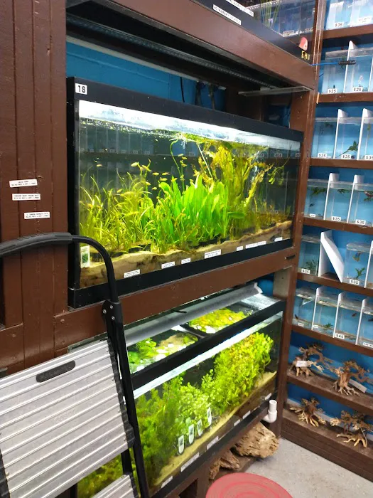 360 Aquatic Picture 9