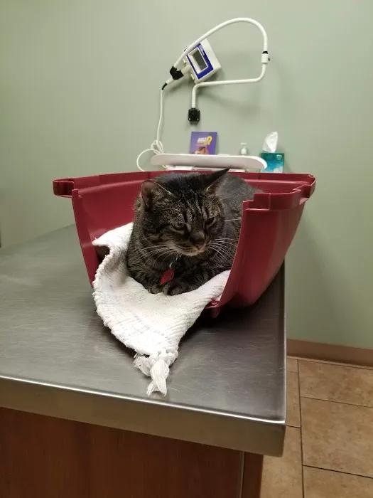Wellsboro Small Animal Hospital P.C. Picture 4