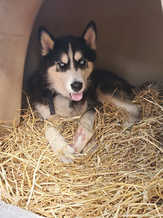 Wellsboro Small Animal Hospital P.C. Picture 6