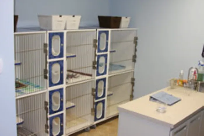 Wellsboro Small Animal Hospital P.C. Picture 2
