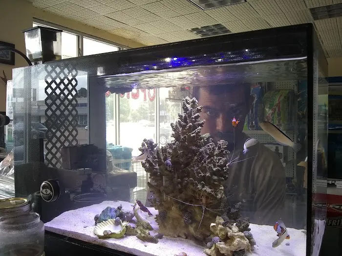 THE FISH TANK Picture 6