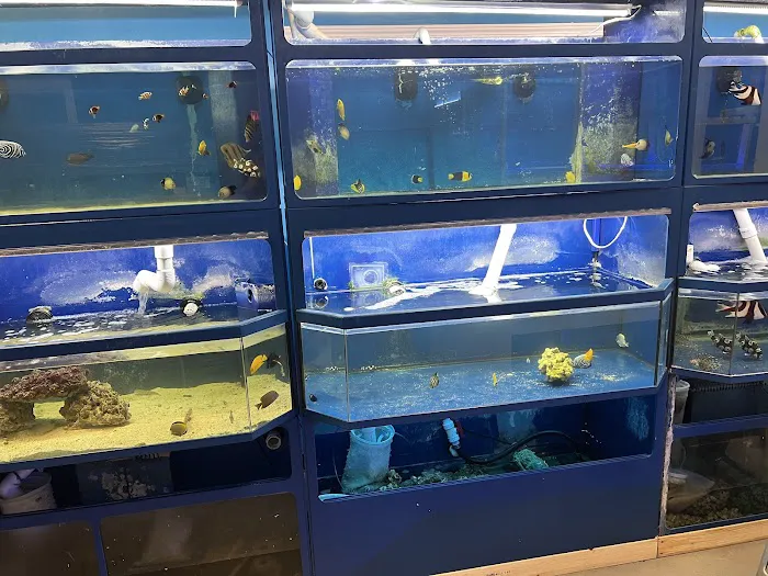 THE FISH TANK Picture 2