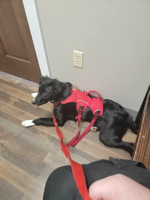 Grand Canyon Veterinary Hospital Picture 2