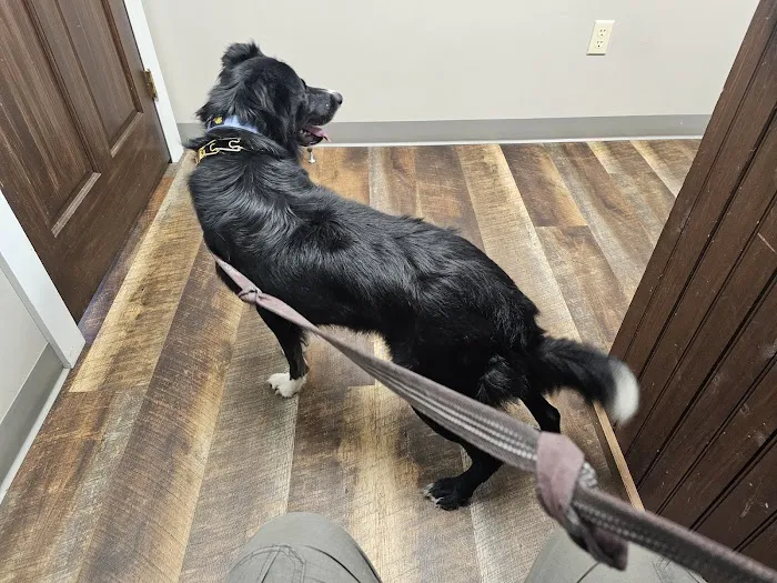 Grand Canyon Veterinary Hospital Picture 7