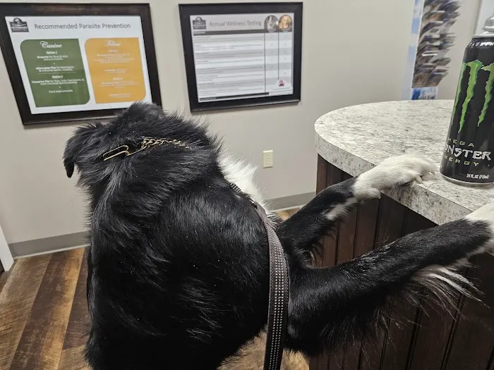 Grand Canyon Veterinary Hospital Picture 5