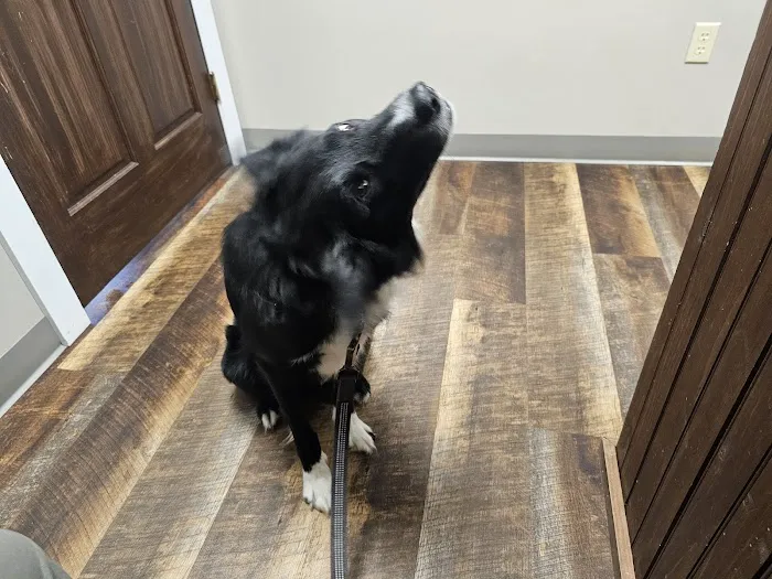 Grand Canyon Veterinary Hospital Picture 1