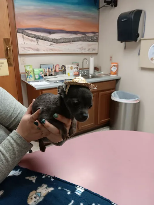 Wellsboro Veterinary Hospital & Reptile & Bird Clinic Picture 2