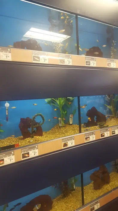 Petco Picture 3