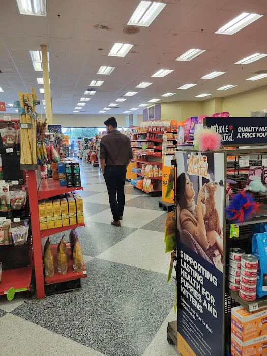 Petco Picture 4