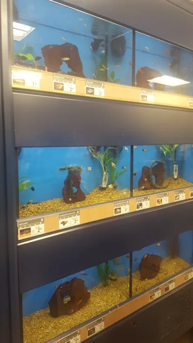 Petco Picture 6