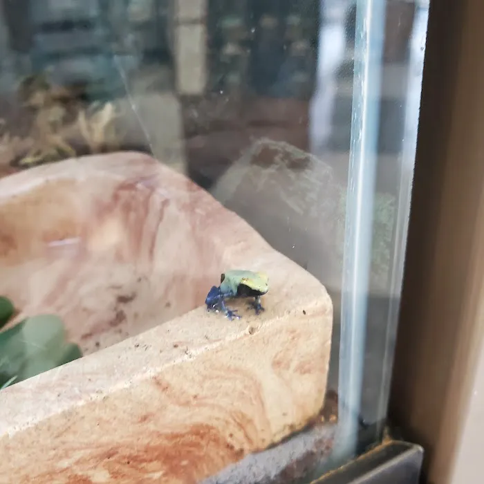 Petco Picture 10