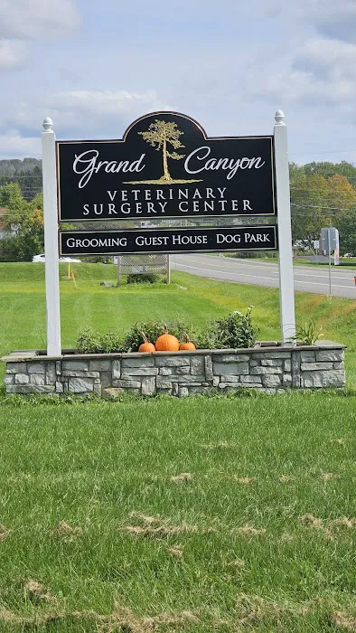 Grand Canyon Veterinary Surgery Center Picture 1
