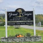 Grand Canyon Veterinary Surgery Center