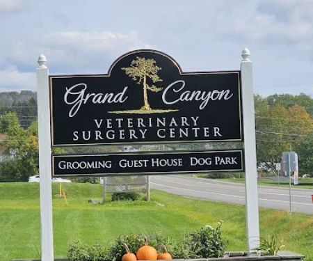 Grand Canyon Veterinary Surgery Center