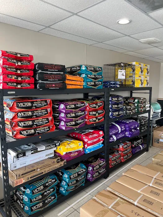 Bull Level Pet Store Picture 10
