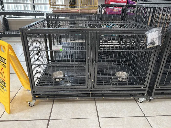Bull Level Pet Store Picture 7