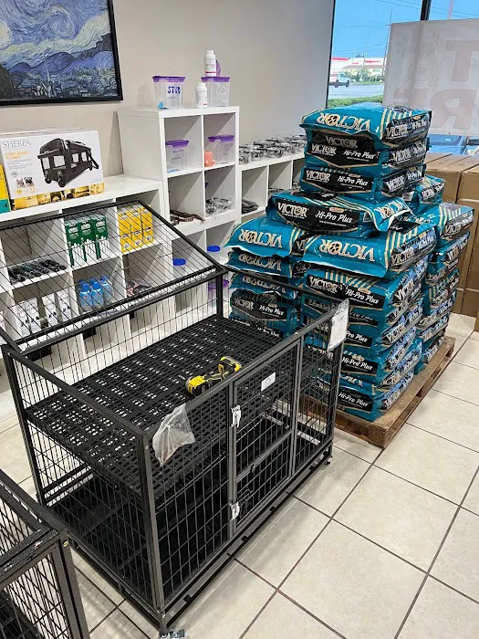 Bull Level Pet Store Picture 6