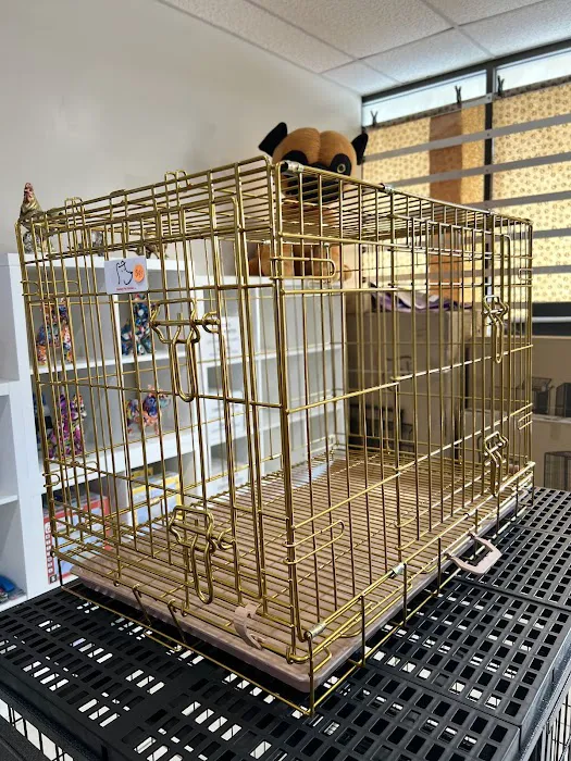 Bull Level Pet Store Picture 3