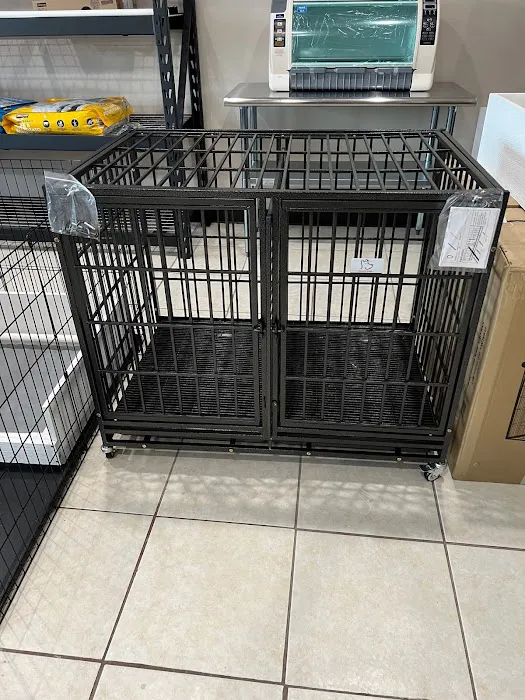 Bull Level Pet Store Picture 2