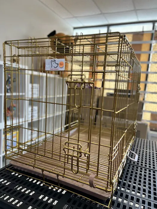 Bull Level Pet Store Picture 9