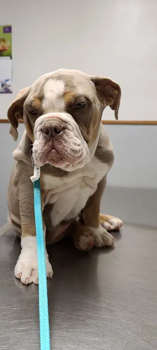 Veterinary Medical Center Picture 1