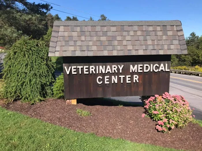 Veterinary Medical Center Picture 2
