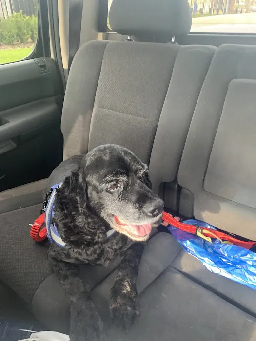 Pet Supplies Plus Houston - Memorial & Kirkwood Picture 7