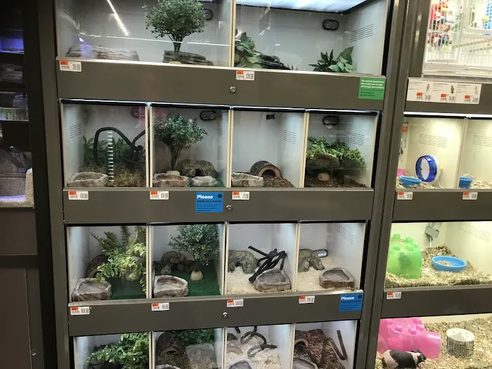 Pet Supplies Plus Houston - Memorial & Kirkwood Picture 4