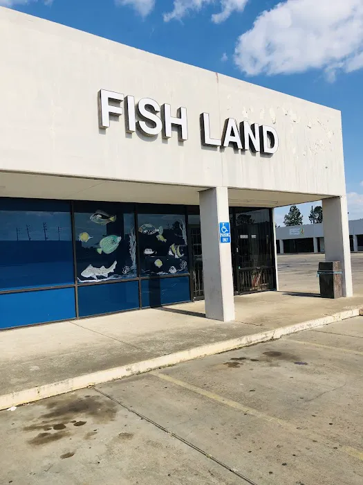 Fishland Picture 2