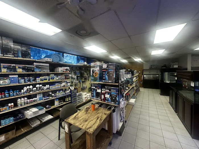 Fishland Picture 10