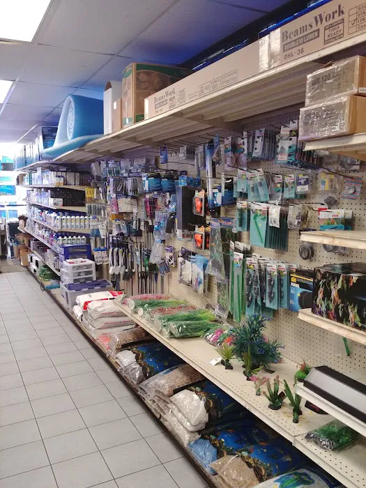 Fishland Picture 5