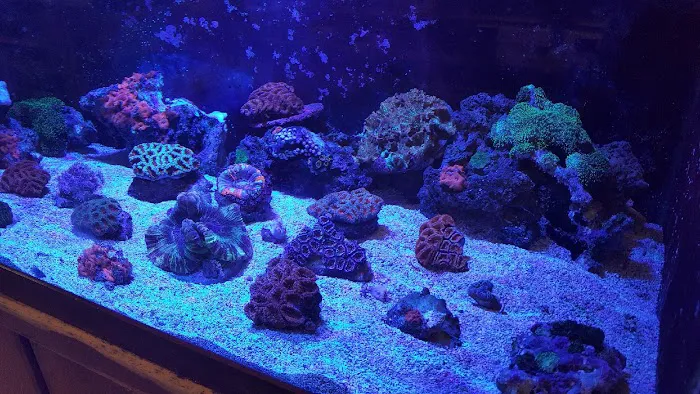 Fishland Picture 1