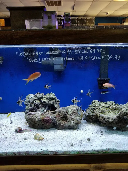 Fishland Picture 8