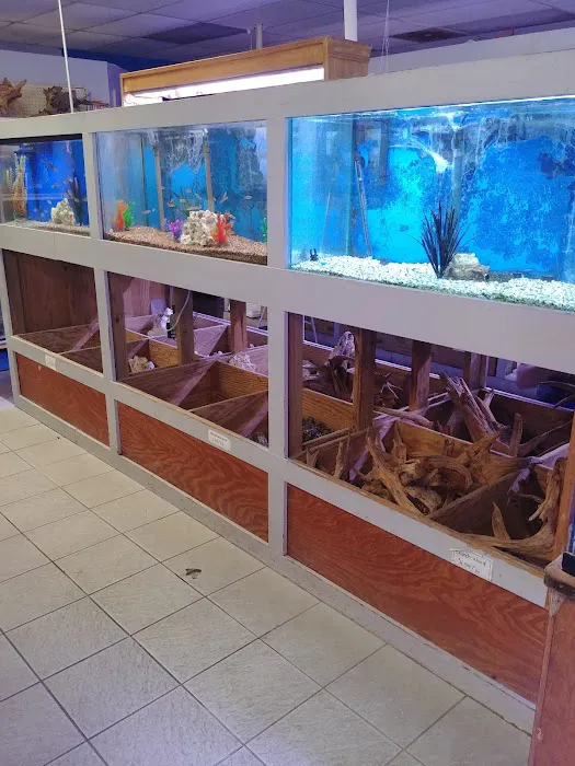 Fishland Picture 6