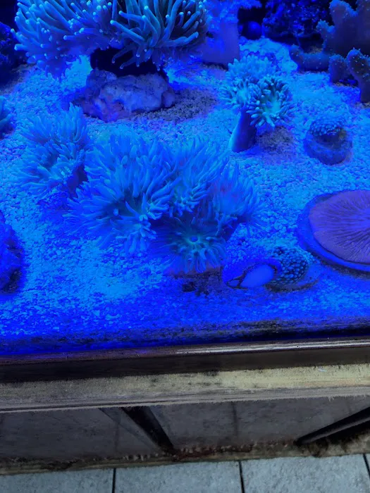 Fishland Picture 9