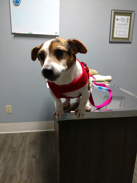 Finger Lakes Animal Hospital Picture 4