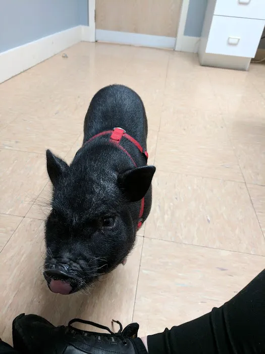 Finger Lakes Animal Hospital Picture 1