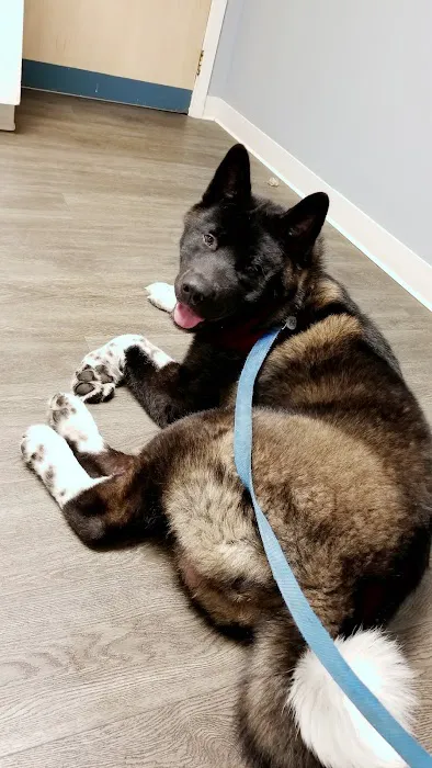 Finger Lakes Animal Hospital Picture 7