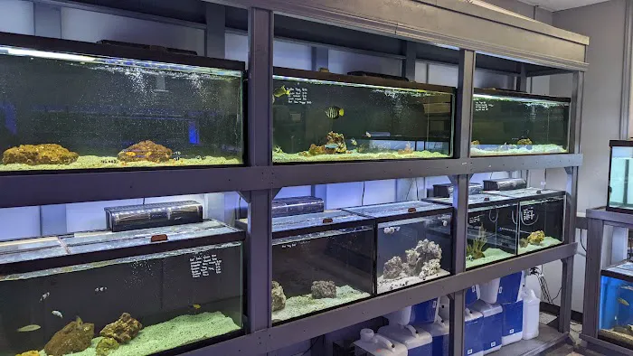 Fish & Reef Picture 1