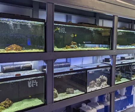 Fish & Reef