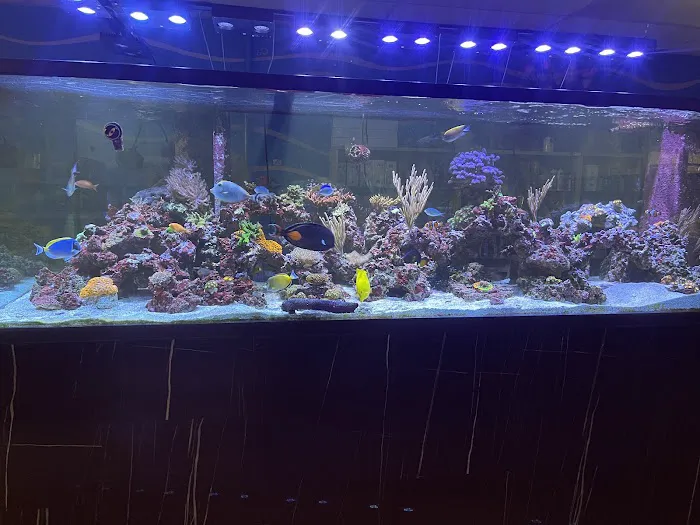 Fish & Reef Picture 7
